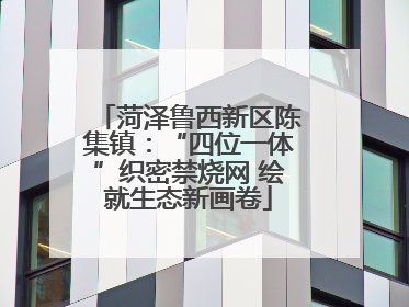 菏泽鲁西新区陈集镇：“四位一体”织密禁烧网 绘就生态新画卷