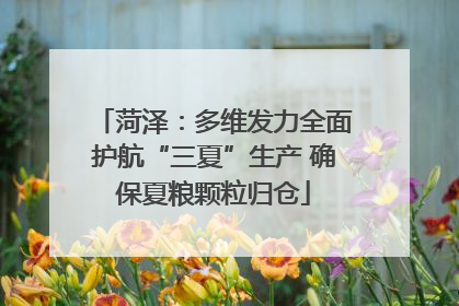 菏泽：多维发力全面护航“三夏”生产 确保夏粮颗粒归仓