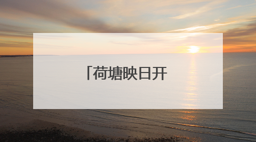 荷塘映日开 赏荷正当时