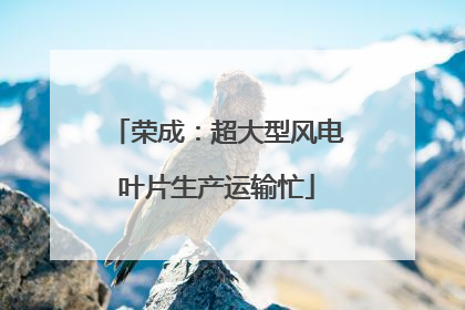 荣成：超大型风电叶片生产运输忙