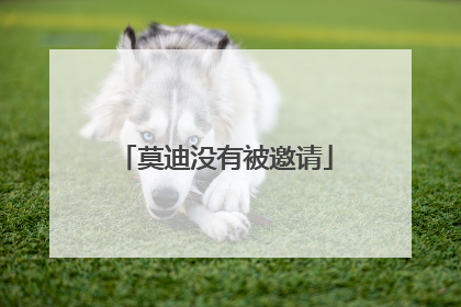 莫迪没有被邀请