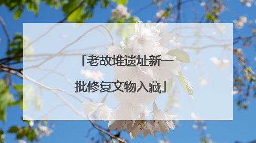 老故堆遗址新一批修复文物入藏