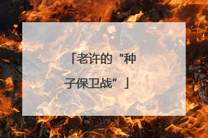 老许的“种子保卫战”