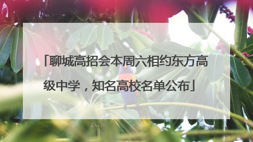 聊城高招会本周六相约东方高级中学，知名高校名单公布