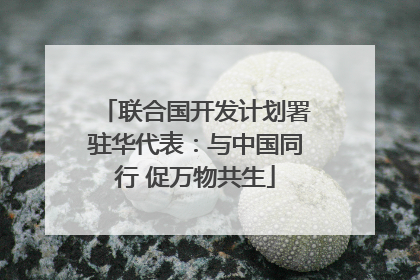 联合国开发计划署驻华代表：与中国同行 促万物共生