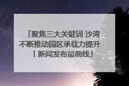 聚焦三大关键词 沙湾不断推动园区承载力提升丨新闻发布最前线