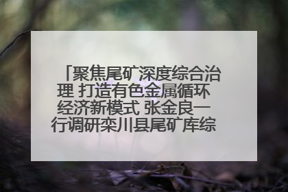 聚焦尾矿深度综合治理 打造有色金属循环经济新模式 张金良一行调研栾川县尾矿库综合治理工作