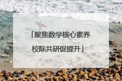 聚焦数学核心素养 校际共研促提升