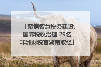 聚焦智慧税务建设、国际税收治理 29名非洲财税官湖南取经