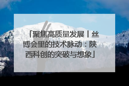 聚焦高质量发展丨丝博会里的技术脉动：陕西科创的突破与想象