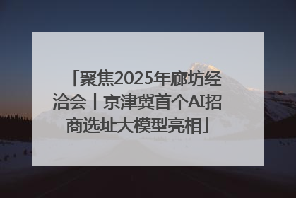 聚焦2025年廊坊经洽会丨京津冀首个AI招商选址大模型亮相