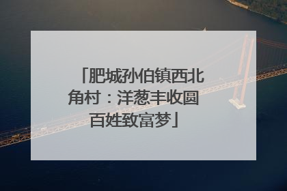肥城孙伯镇西北角村：洋葱丰收圆百姓致富梦