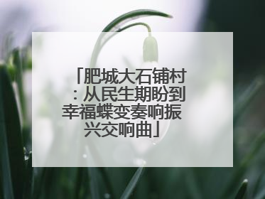 肥城大石铺村:从民生期盼到幸福蝶变奏响振兴交响曲