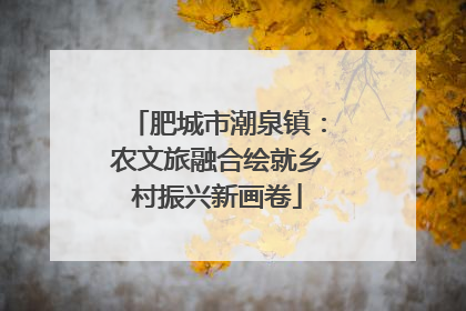 肥城市潮泉镇：农文旅融合绘就乡村振兴新画卷