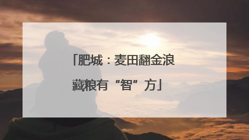 肥城：麦田翻金浪藏粮有“智”方
