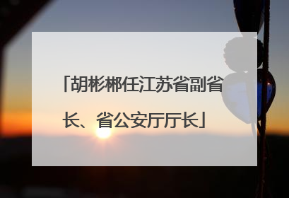 胡彬郴任江苏省副省长、省公安厅厅长