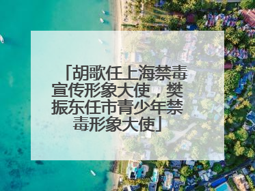 胡歌任上海禁毒宣传形象大使，樊振东任市青少年禁毒形象大使