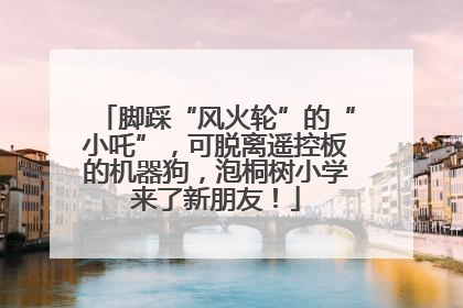 脚踩“风火轮”的“小吒”，可脱离遥控板的机器狗，泡桐树小学来了新朋友！