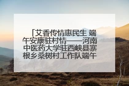 艾香传情惠民生 端午安康驻村情——河南中医药大学驻西峡县寨根乡桑树村工作队端午中医惠民记