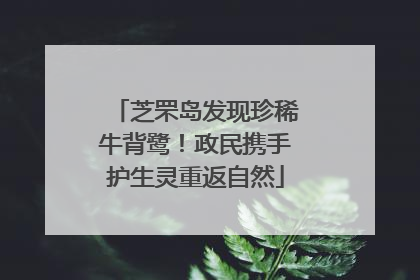 芝罘岛发现珍稀牛背鹭！政民携手护生灵重返自然