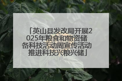 英山县发改局开展2025年粮食和物资储备科技活动周宣传活动 推进科技兴粮兴储