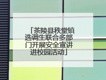 茶陵县秩堂镇选调生联合多部门开展安全宣讲进校园活动