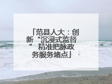 范县人大：创新“沉浸式监督” 精准把脉政务服务堵点