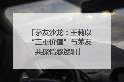 茅友沙龙：王莉以“三重价值”与茅友共探情感逻辑