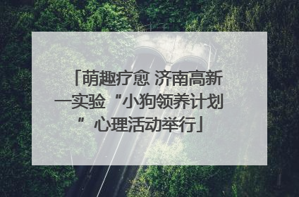 萌趣疗愈 济南高新一实验“小狗领养计划”心理活动举行