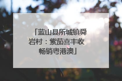 蓝山县所城镇舜岩村：紫茄喜丰收 畅销粤港澳