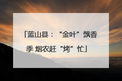 蓝山县：“金叶”飘香季 烟农赶“烤”忙