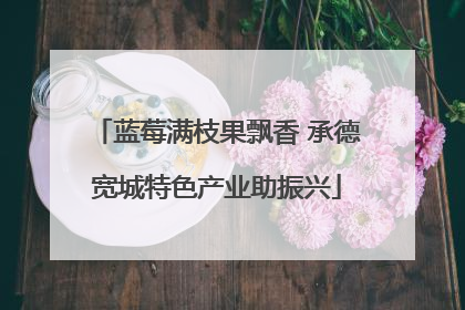 蓝莓满枝果飘香 承德宽城特色产业助振兴