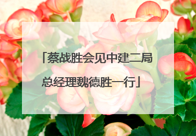 蔡战胜会见中建二局总经理魏德胜一行
