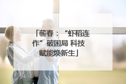 蕲春：“虾稻连作”破困局 科技赋能焕新生