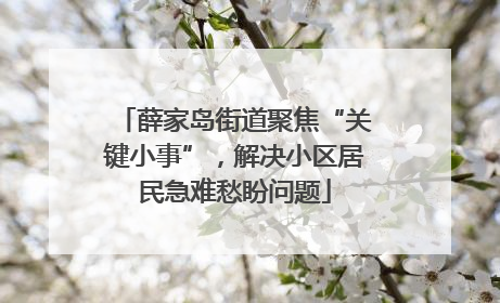薛家岛街道聚焦“关键小事”，解决小区居民急难愁盼问题