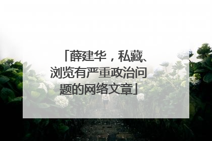 薛建华，私藏、浏览有严重政治问题的网络文章
