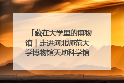 藏在大学里的博物馆｜走进河北师范大学博物馆天地科学馆：在校园里赴一场“宇宙之约”