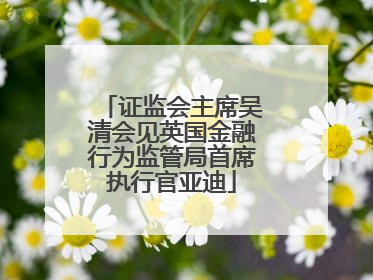 证监会主席吴清会见英国金融行为监管局首席执行官亚迪