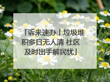 诉来速办丨垃圾堆积多日无人清 社区及时出手解民忧
