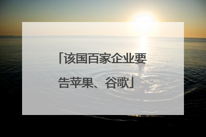 该国百家企业要告苹果、谷歌