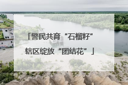 警民共育“石榴籽” 辖区绽放“团结花”