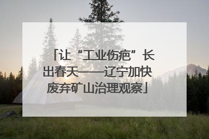 让“工业伤疤”长出春天——辽宁加快废弃矿山治理观察