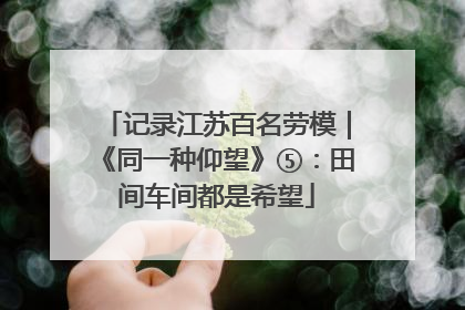 记录江苏百名劳模｜《同一种仰望》⑤：田间车间都是希望