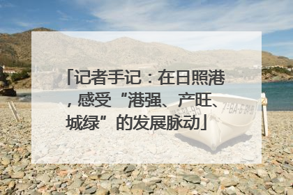 记者手记：在日照港，感受“港强、产旺、城绿”的发展脉动
