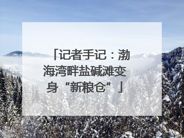 记者手记：渤海湾畔盐碱滩变身“新粮仓”