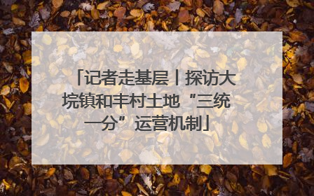 记者走基层丨探访大垸镇和丰村土地“三统一分”运营机制