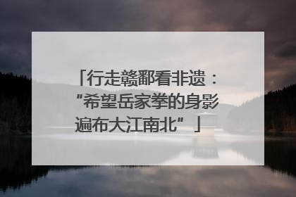 行走赣鄱看非遗：“希望岳家拳的身影遍布大江南北”