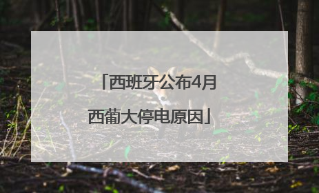 西班牙公布4月西葡大停电原因