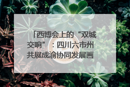 西博会上的“双城交响”：四川六市州共展成渝协同发展画卷｜西博视界