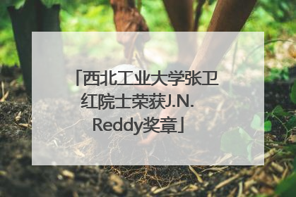 西北工业大学张卫红院士荣获J.N.Reddy奖章